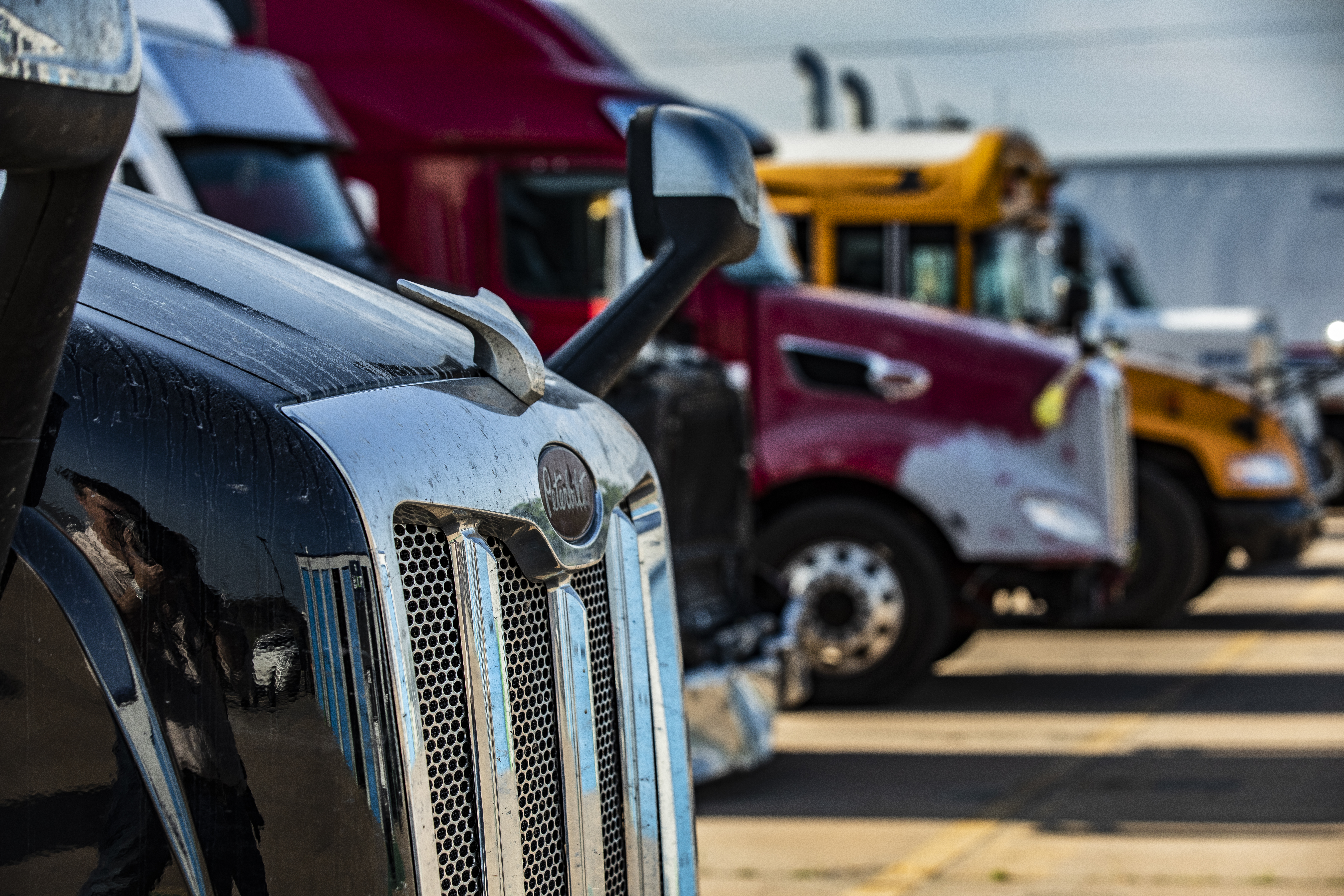 line of parked trucks and bus